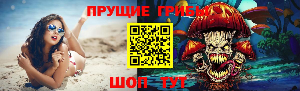 Галлюциногенные грибы Psilocybe  Вход с VPN  как найти   Галлюциногенные грибы мухоморы  Камышлов 